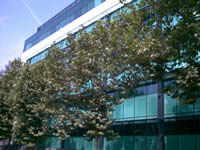 Redbus Intehouse II, Sovereign House, London
